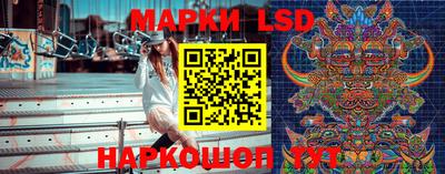 дмт Ставрополь