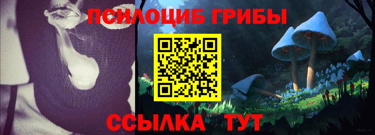 Галлюциногенные грибы прущие грибы  Галлюциногенные грибы Magic Shrooms  Вход с VPN  Норильск 